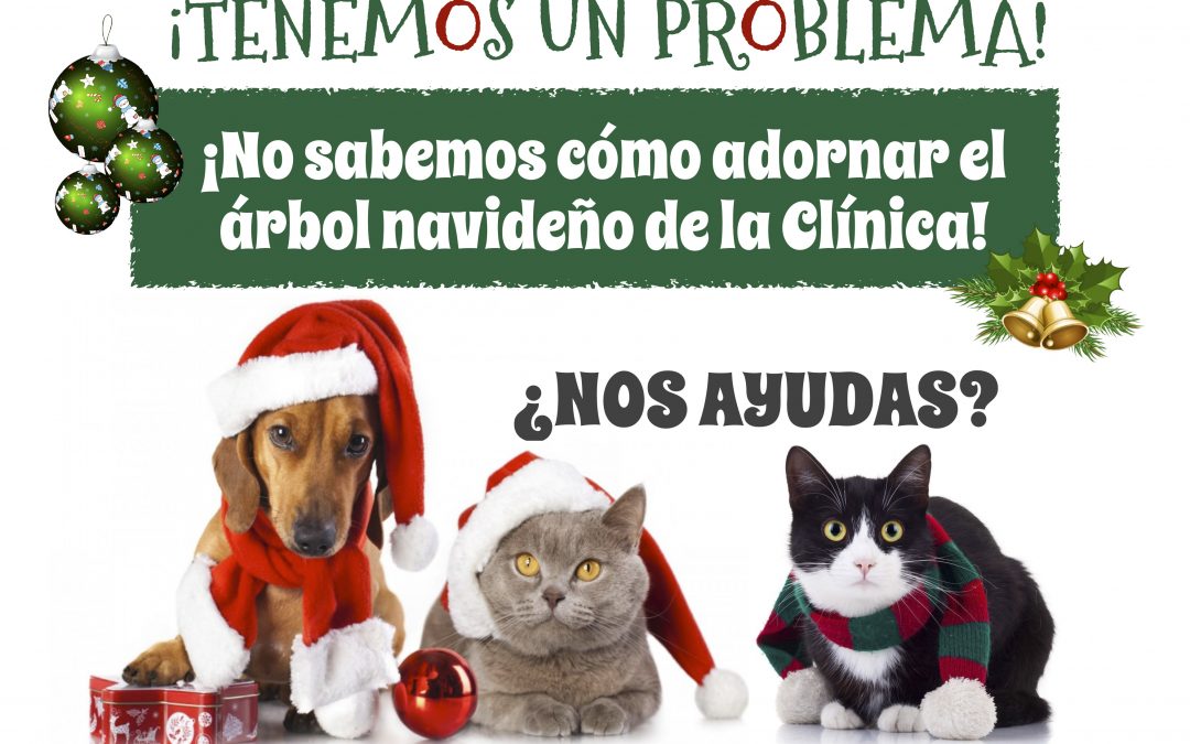 ¡BIENVENIDOS A LA COLECCIÓN DE CHRISTMAS CON NUESTROS PACIENTES Y AMIGOS COMO PROTAGONISTAS!