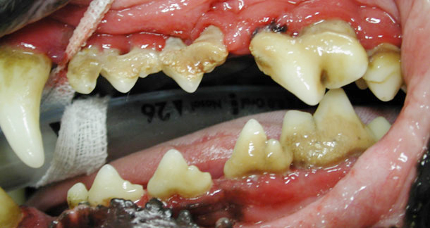 10 ALTERACIONES Y ENFERMEDADES QUE EVITAMOS CON UNA HIGIENE BUCODENTAL COMPLETA