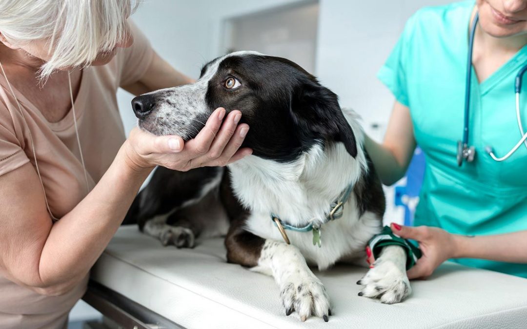 TEN CUIDADO… PORQUE ÉL LO SABE