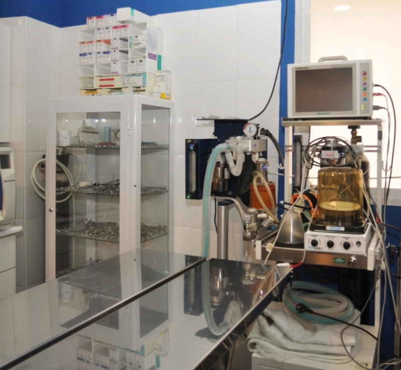 Foto Maquina de Diagnosticos para Apartado de Servicios Clinica Veterinaria Motril en Motril (Granada)